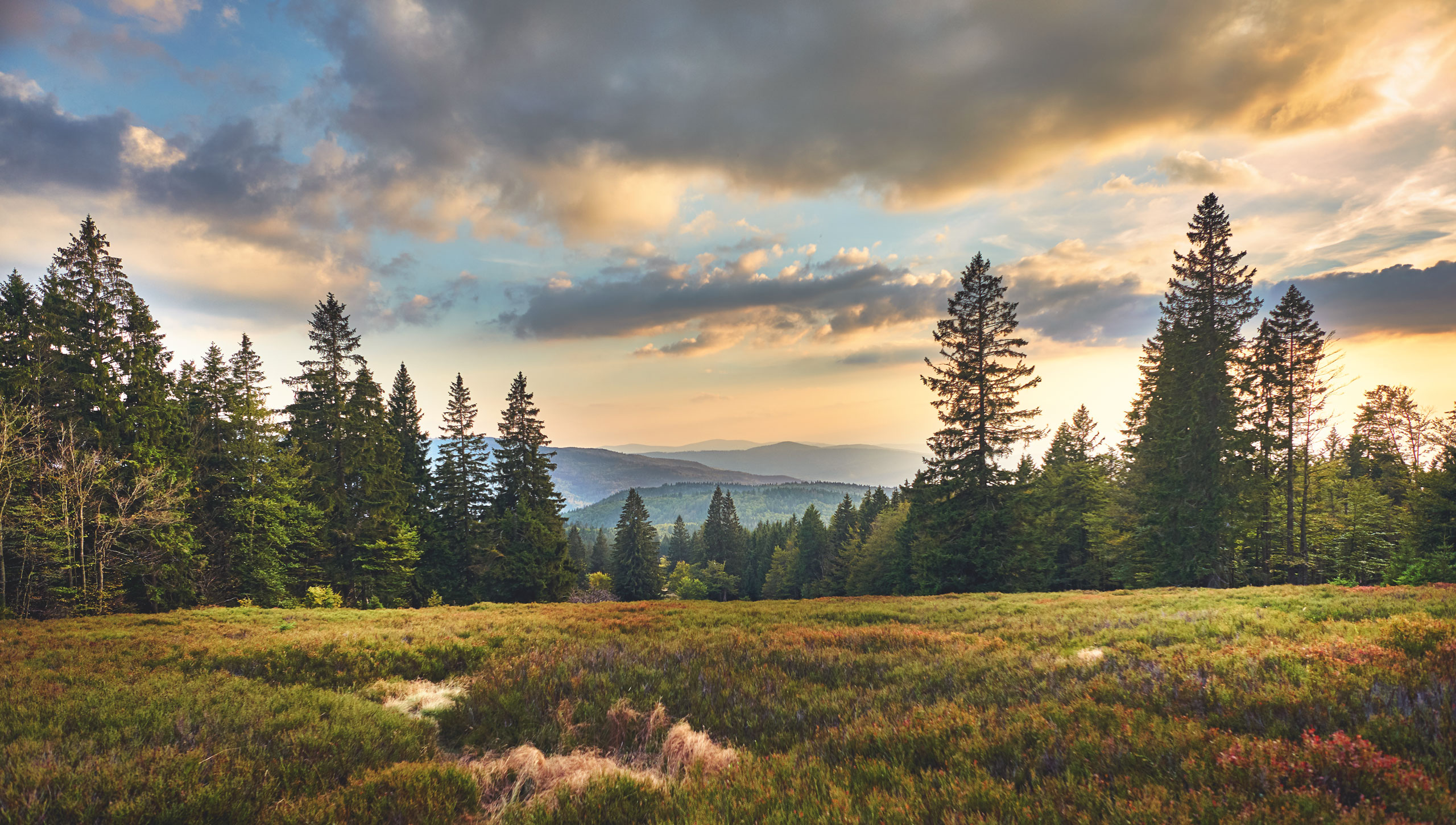 Ausblick von den Schachten. © Woidlife Photography.