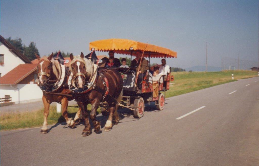 Kutschfahrt Boxhorn