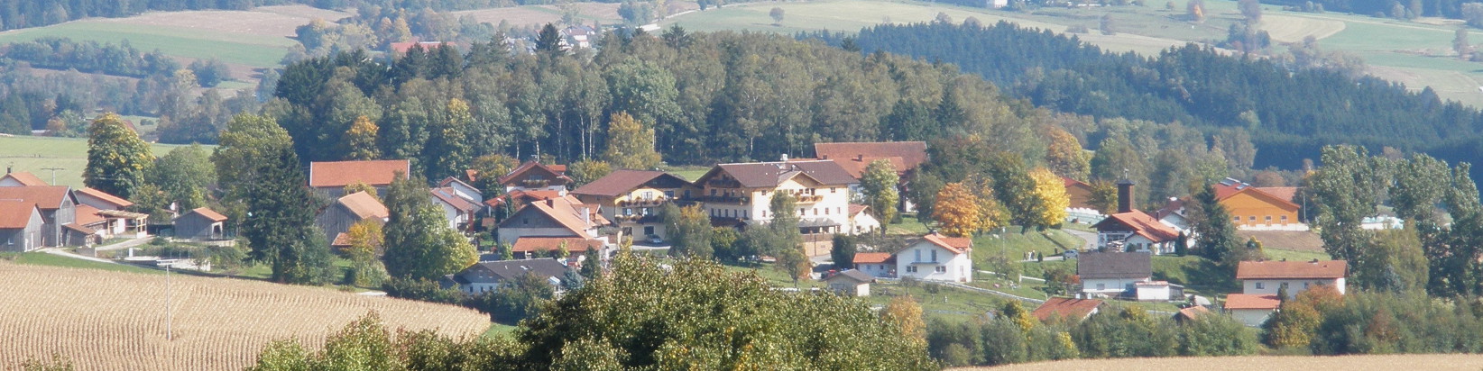 Triefenried bei Zachenberg