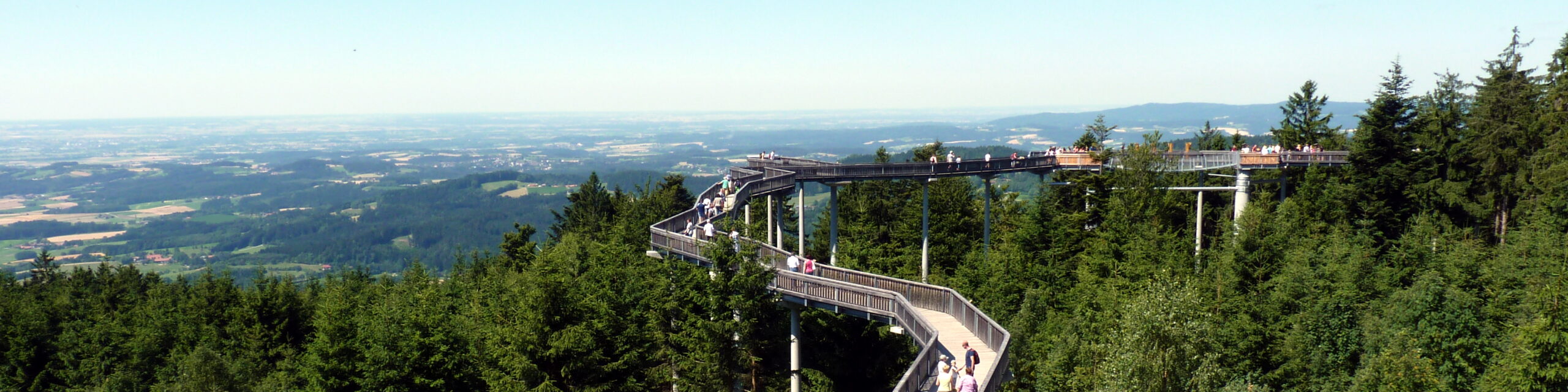 Waldwipfelweg in Sankt Englmar.