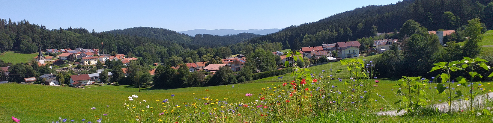 Blumenwiese mit Blick auf Achslach