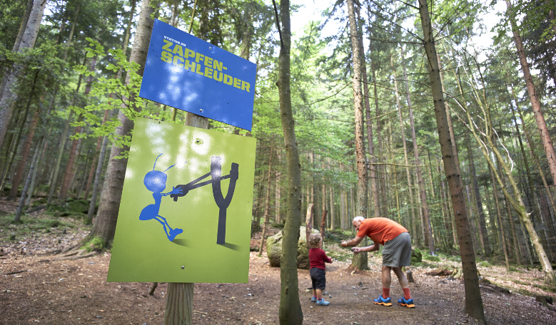 Kinderwanderweg Ameisenstraße Bodenmais