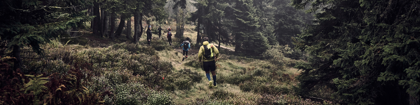 Trailrunning durch den Woid im ARBERLAND