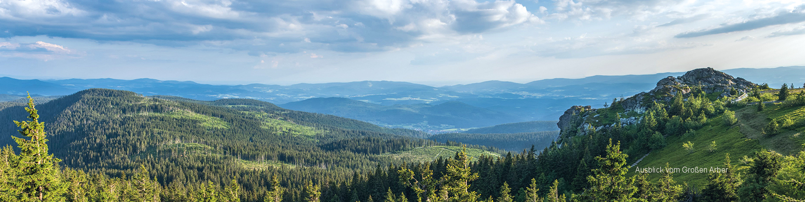 Ausblick vom König des Bayerischen Waldes