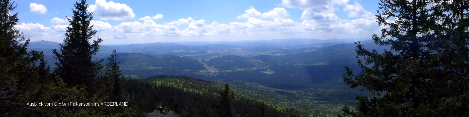 Ausblick-Panorama vom Großen Falkenstein