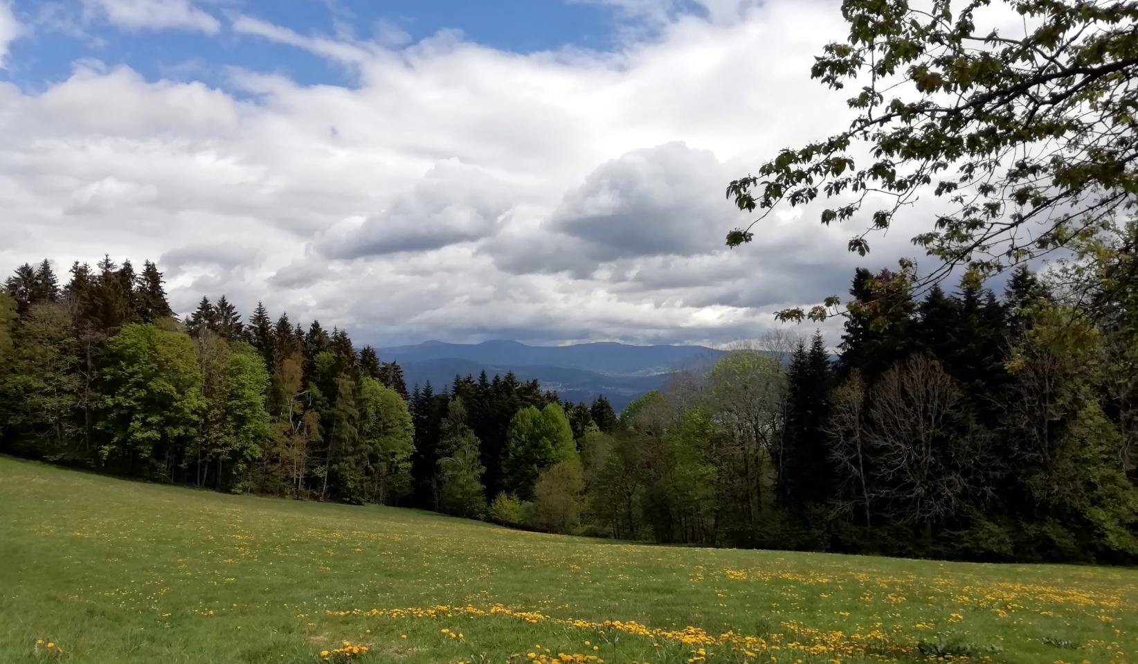 Erlebnispfad "Panoramablick am Spitzberg"