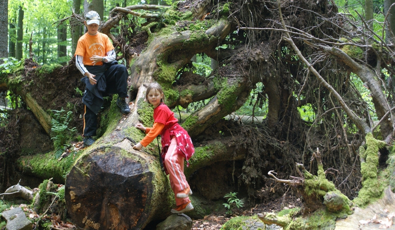 Der schönste Spielplatz ist die Natur, wie hier in Bayerisch Eisenstein.