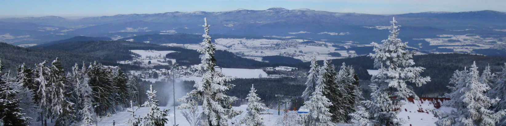 Bischofsmais im Winter