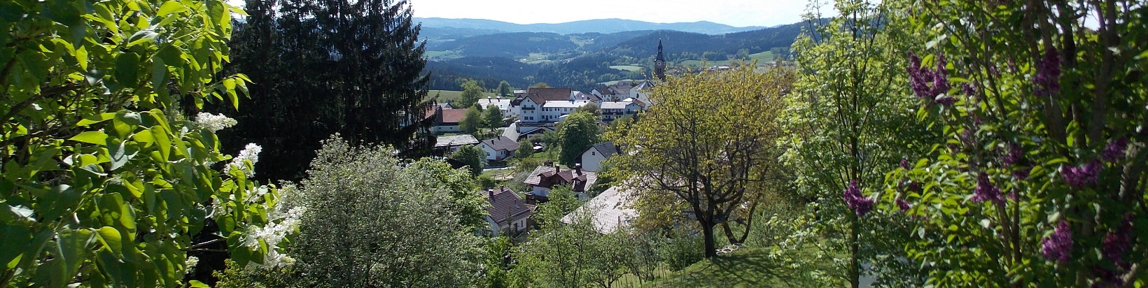 Aussicht auf Böbrach