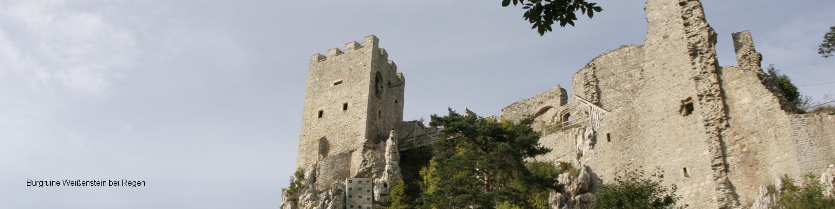 Burgruine Weißenstein