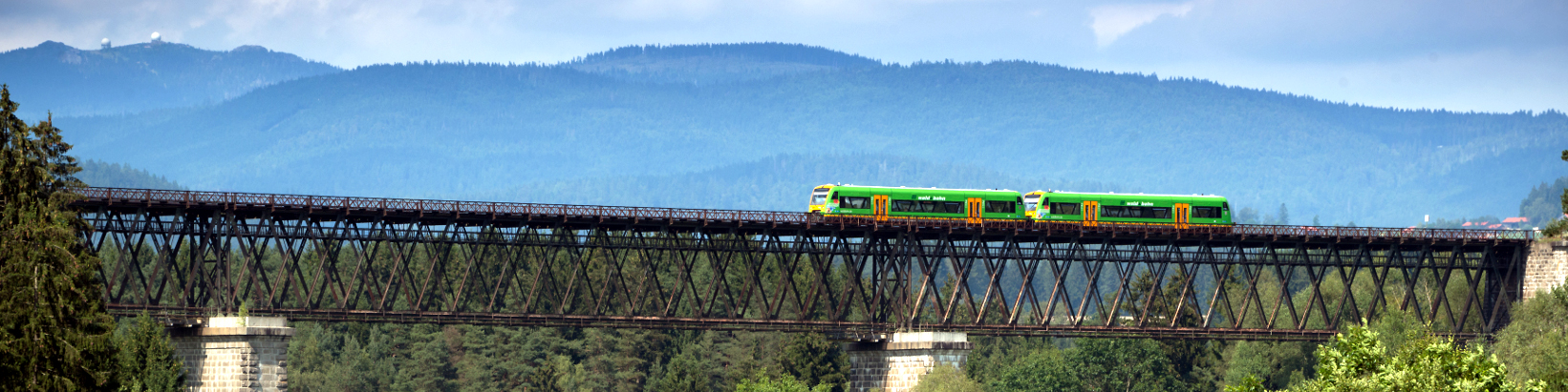 Waldbahn mit Blick auf dem Arber