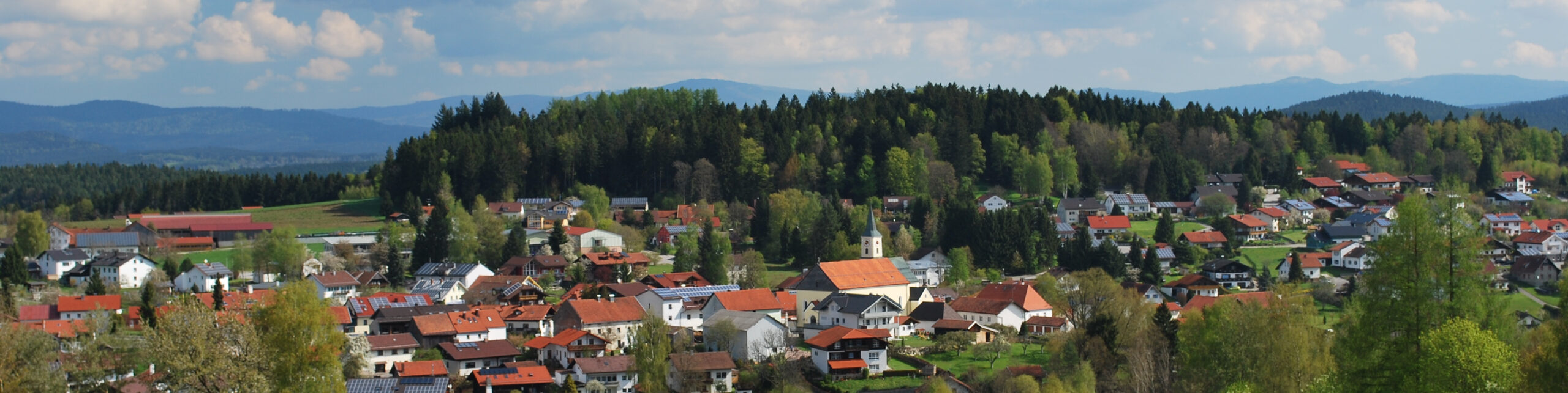 Ortsansicht Bischofsmais von Herrmannsried aus