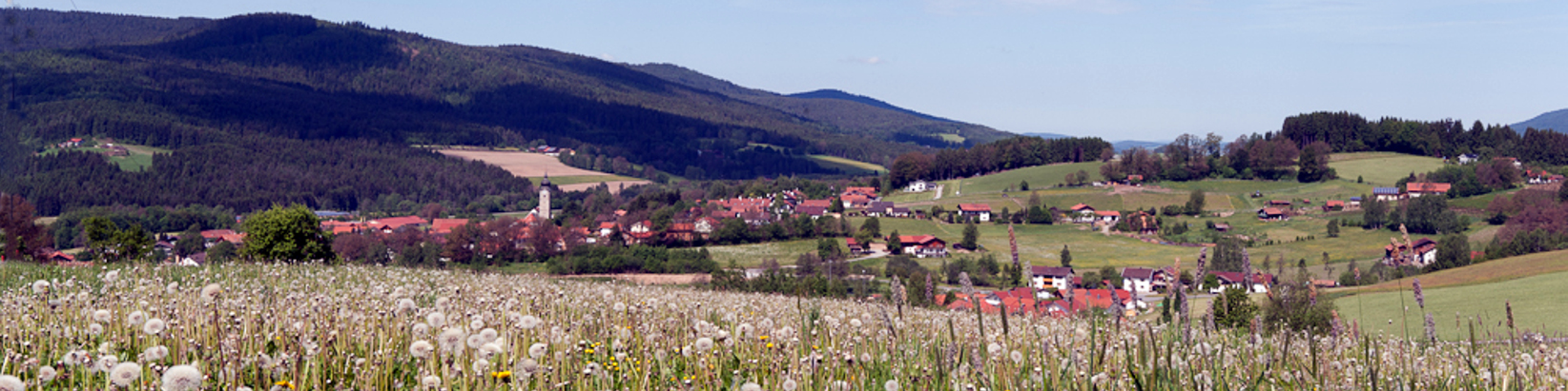 Ortsansicht Drachselsried