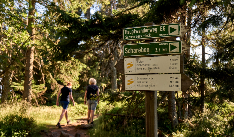 Fernwanderweg E6 auf der Heugstatt im Zellertal