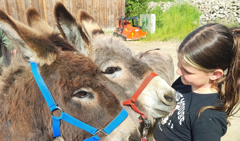 Eselführerschein für Kinder