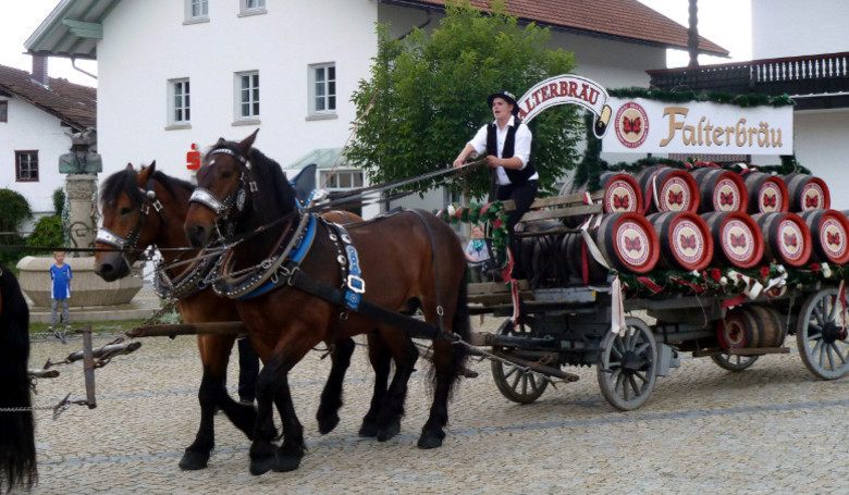 Falterbräu Drachselsried