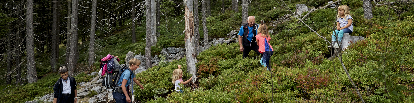 Familienfreundliches Wandern im ARBERLAND