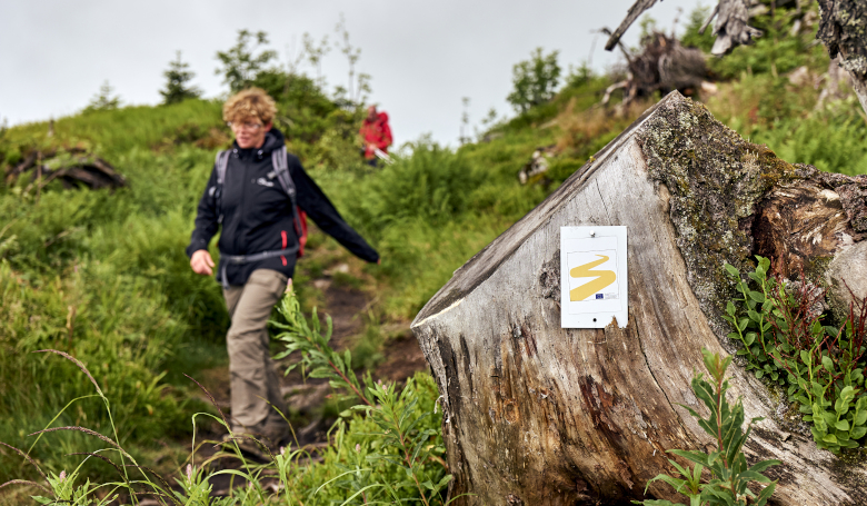 Der Goldsteig, ein Fernwanderweg durch das ARBLERAND