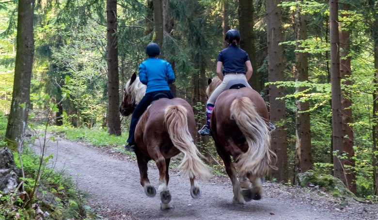 Reiterinnen im ARBERLAND Bayerischer Wald