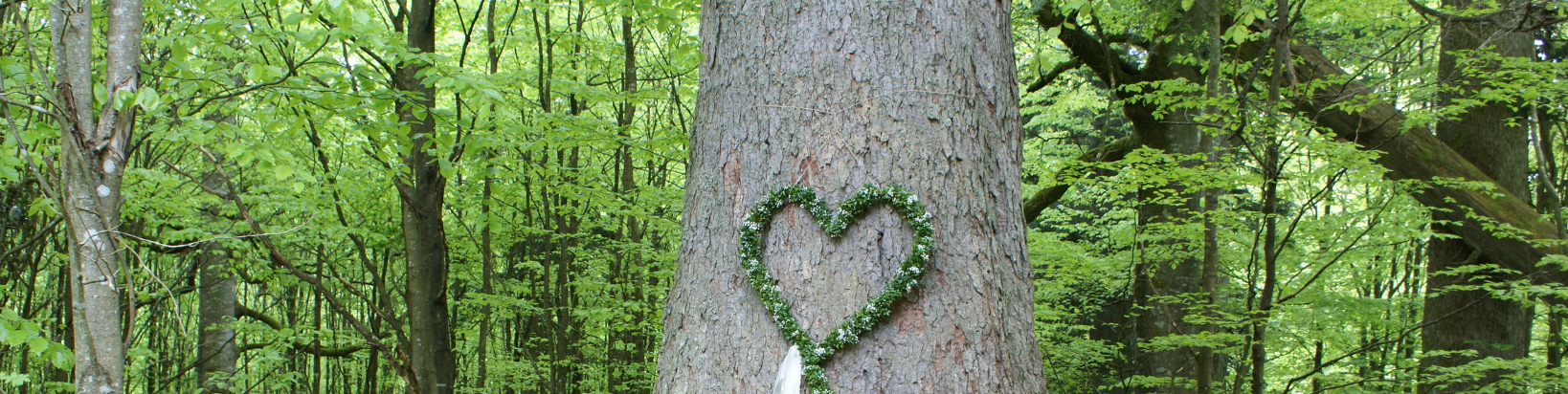 Heiraten in der Wildnis