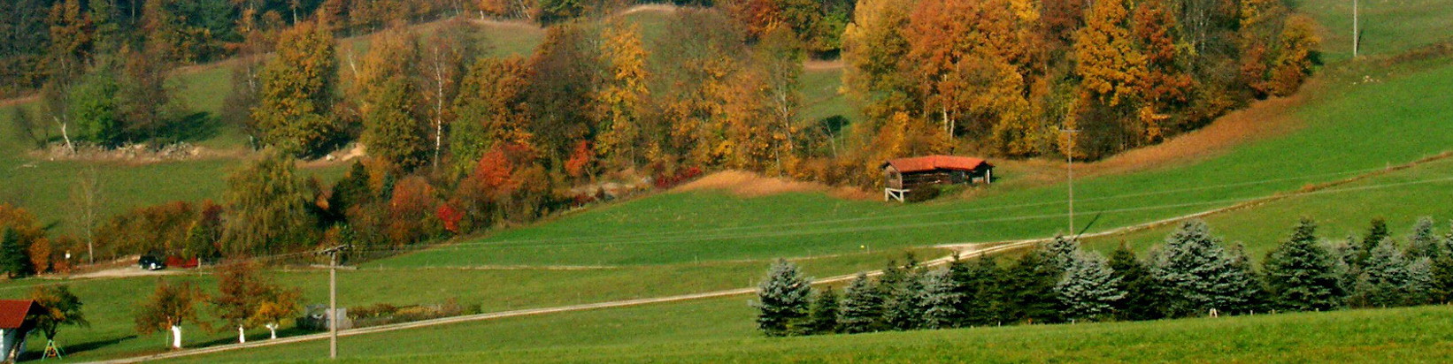 Herbstaufnahme Zachenberg