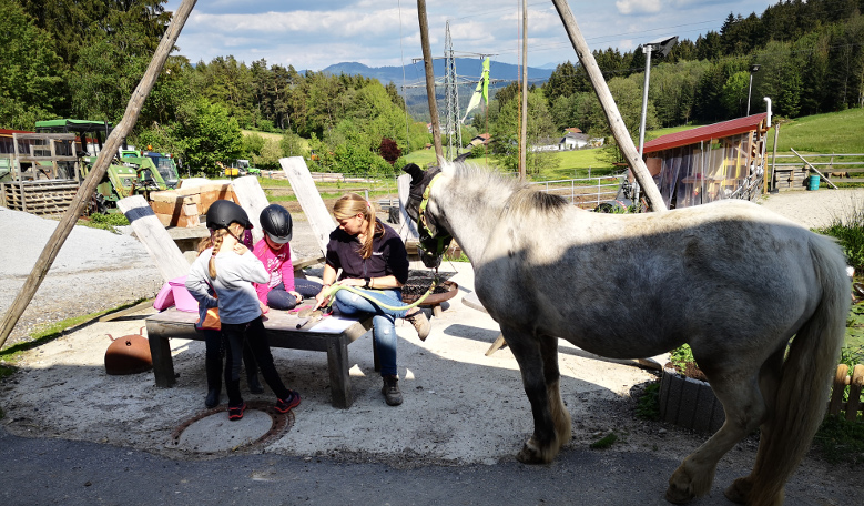 Horsemanship auf der Hoizhaus Ranch für Kinder und Jugendliche