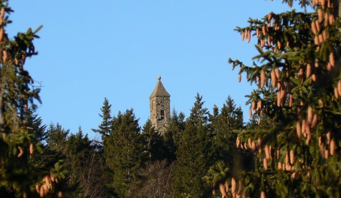 Denkmal zu Ehren des Waldschmidt am gr. Riedelstein