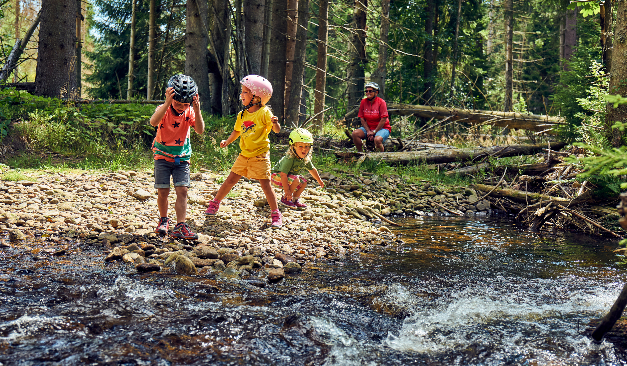 Kinder in der Natur ARBERLAND