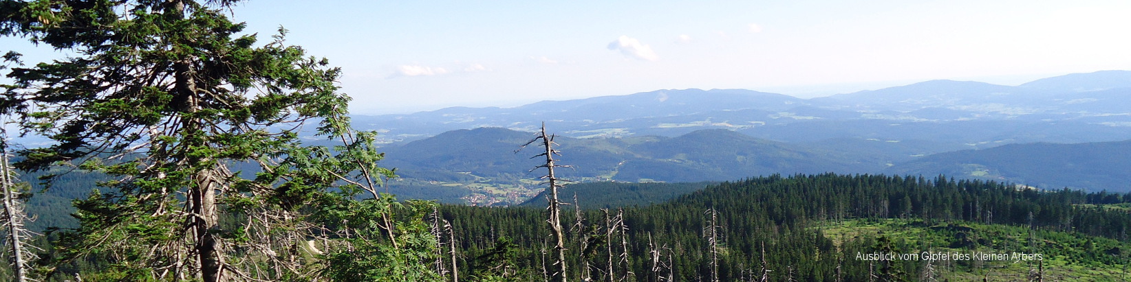 Ausblick vom Kleinen Arber ins ARBERLAND