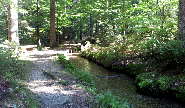 Kneippweg Rabenstein