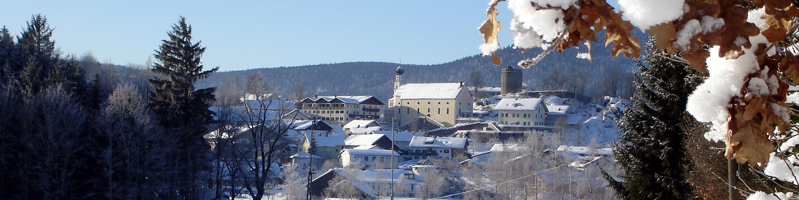 Kollnburg im Winter