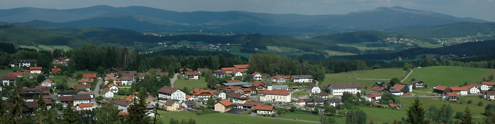 Blick auf Langdorf und Bayerwaldberge