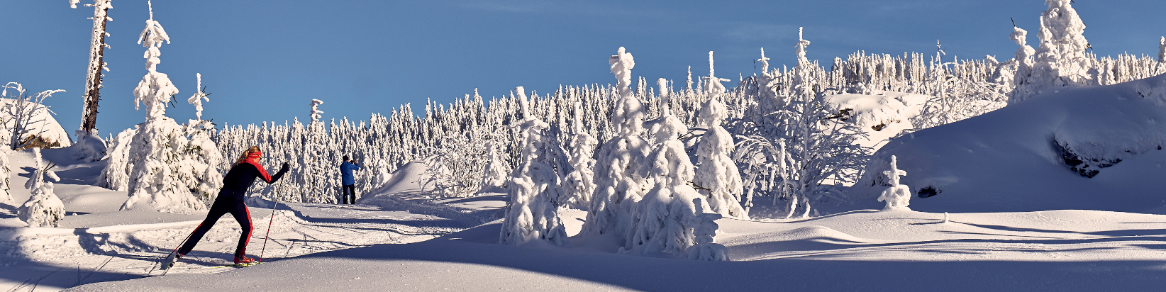 Langlauf-Paradies Bayerischer Wald