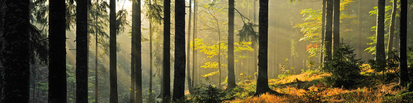 NATUR.gefühl