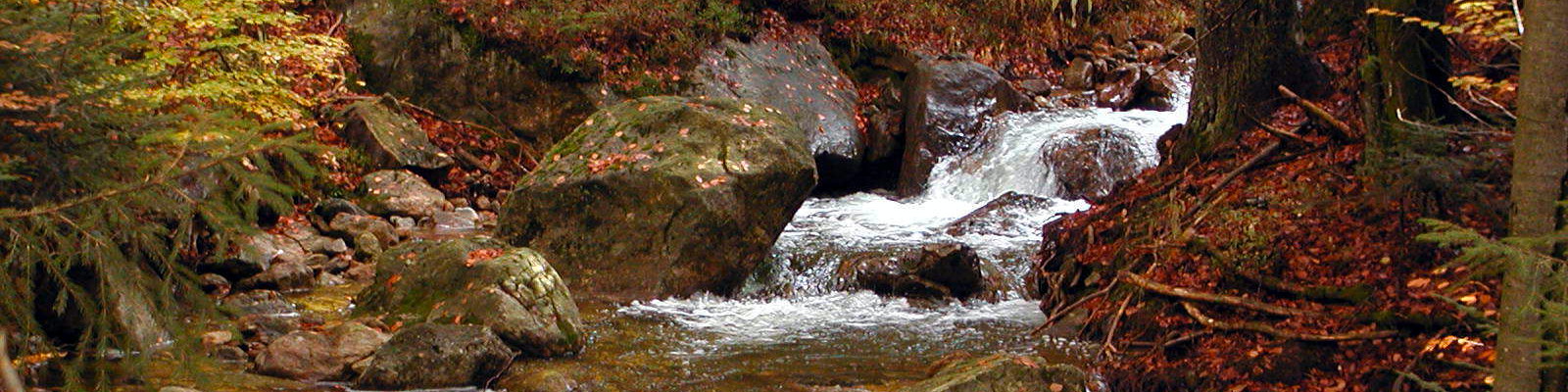 Bergbach im Nationalparkgebiet Bayerischer Wald.