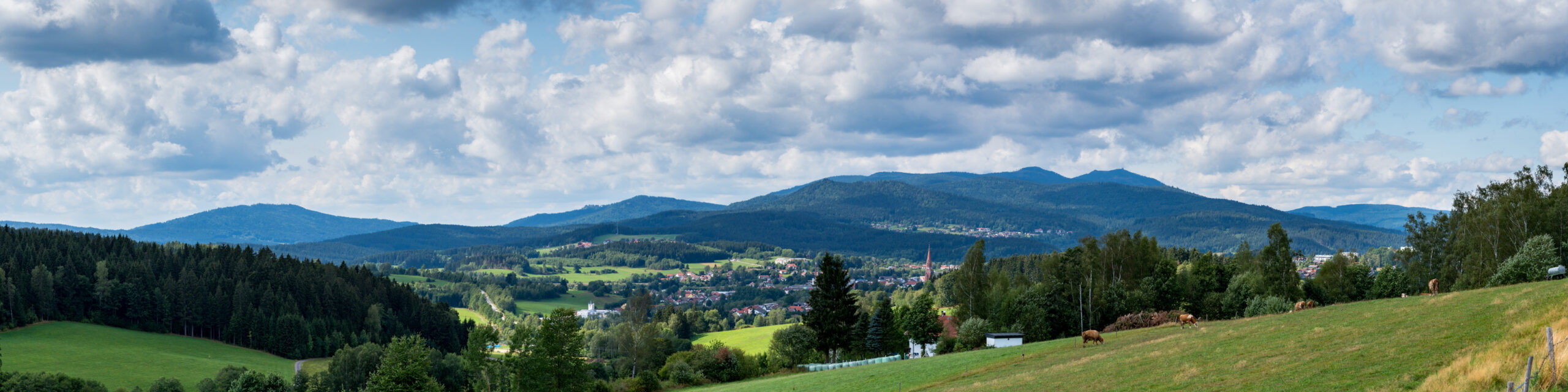 Panorama auf die Glasstadt Zwiesel