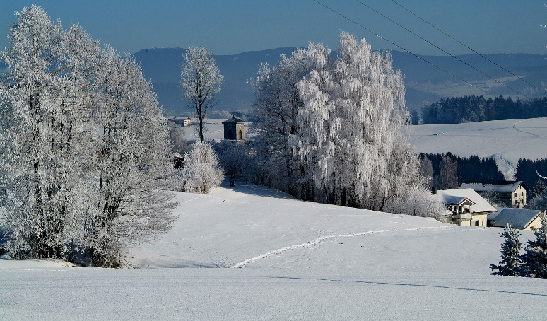 Raureif in Gotteszell