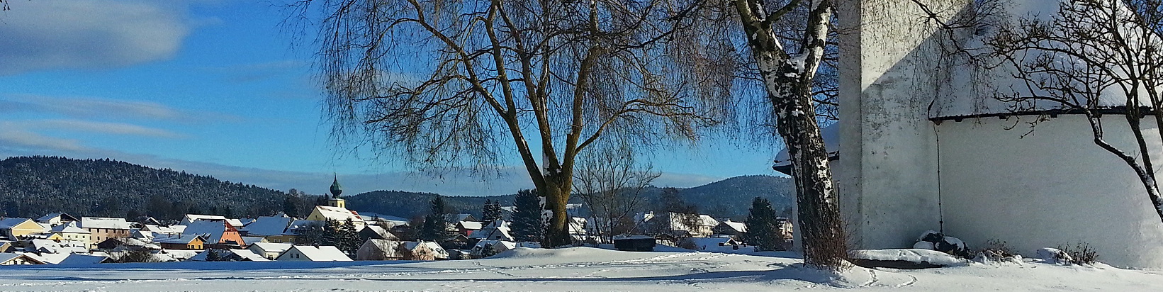 Ruhmannsfelden im Winter