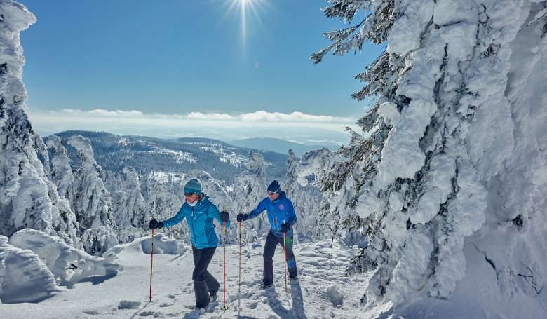 Schneeschuhwandern im Winterwunderland ARBERLAND