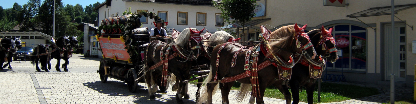 Brauereiwagenfahren in Zwiesel