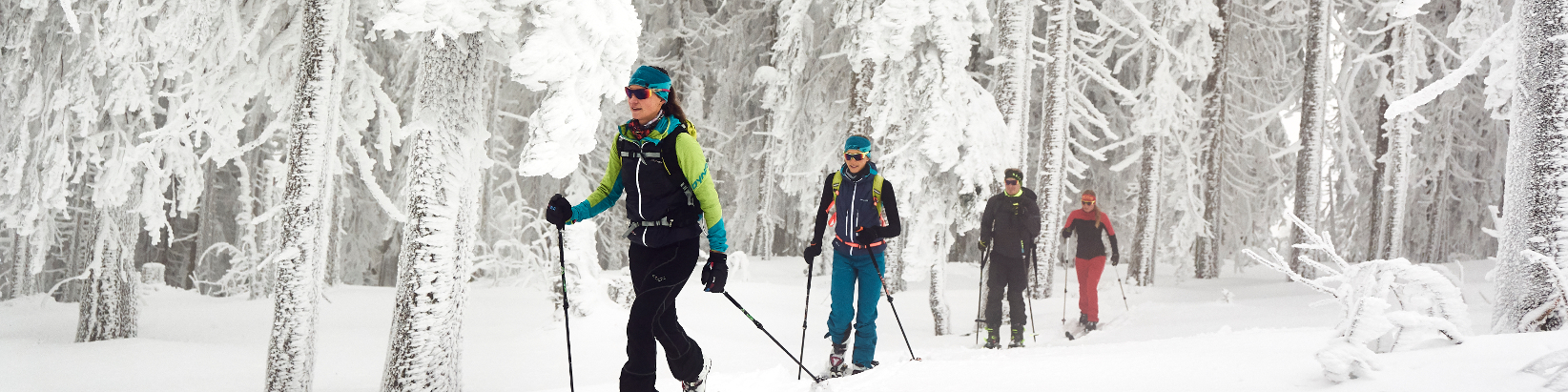 Skitour durch den verschneiten Winterwald im ARBERLAND