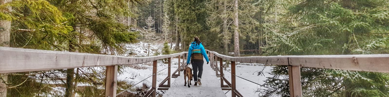 Urlaub mit Hund im Winter im ARBERLAND