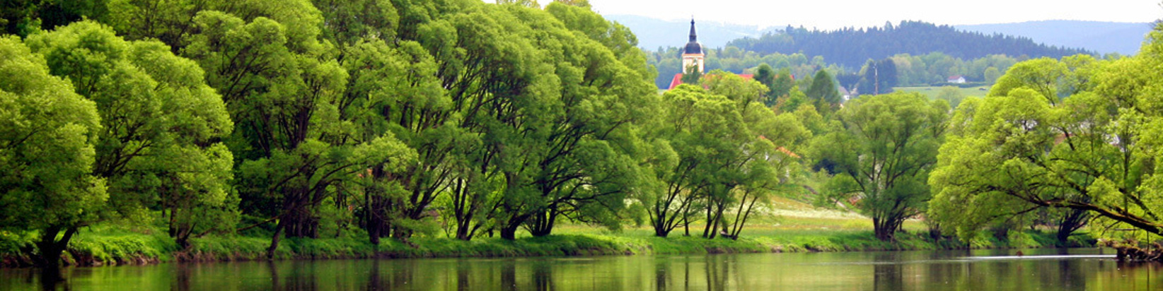 Blick auf die Stadt Viechtach