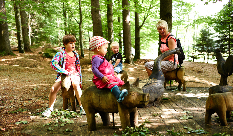 Natur begreifen im Waldspielgelände Spiegelau