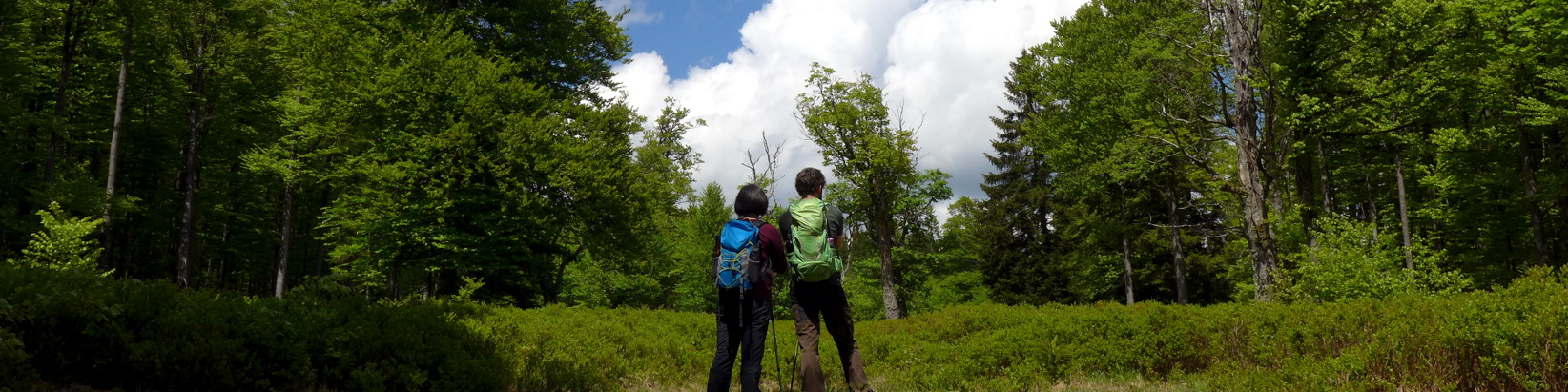 Wanderer am Albrechtsschachten im Nationalpark Bayerischer Wald