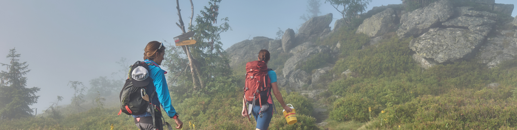 Wandern im ARBERLAND, Frühmorgens im Nebel