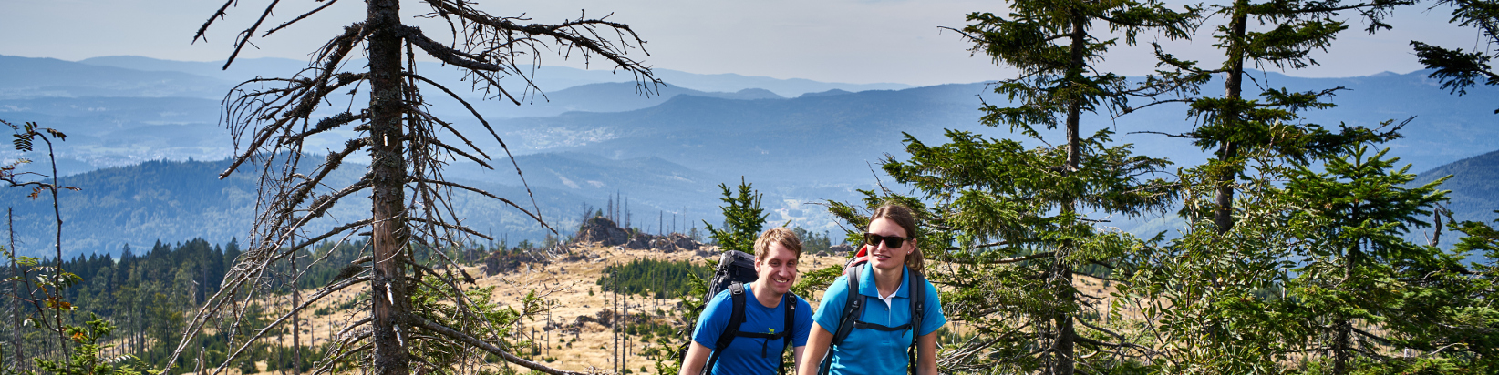 Wanderung am Kiesruck im Nationalpark Bayerischer Wald