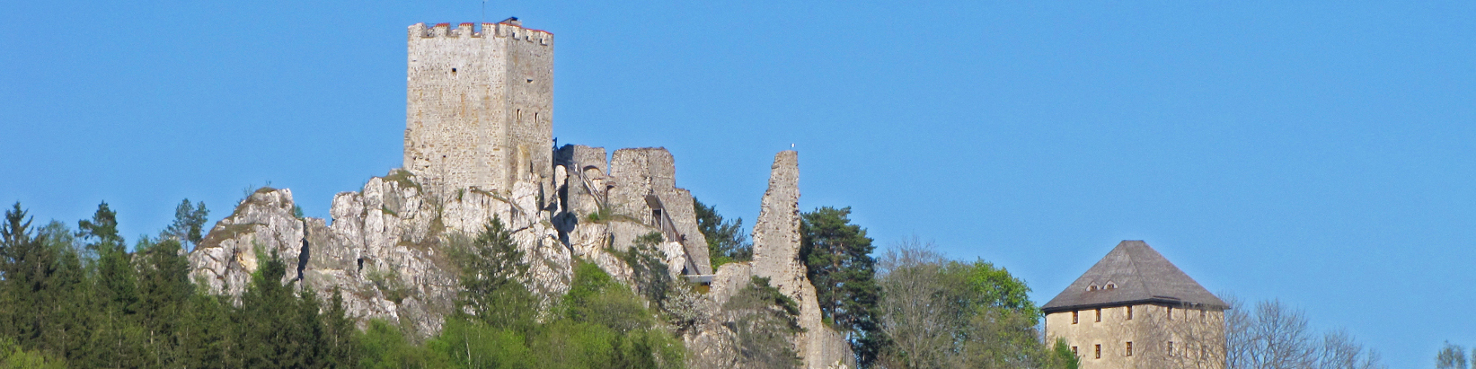 Burgruine Weißenstein in Regen