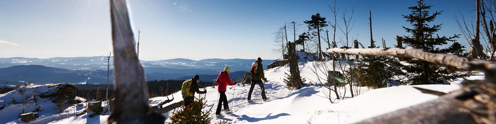 Winterwandern am Kleinen Arber