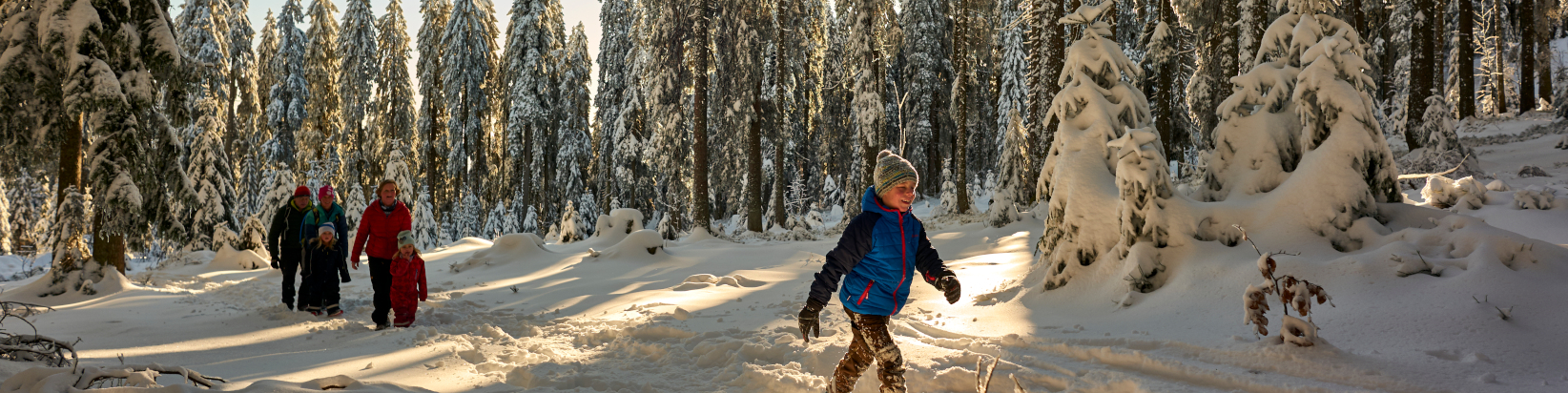 Winterwandern durch den Schnee